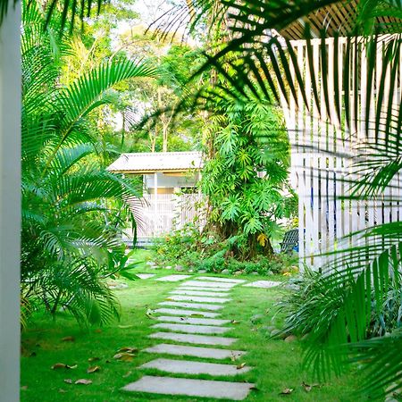 Olivia Del Caribe Suite Puerto Viejo de Talamanca Exteriör bild