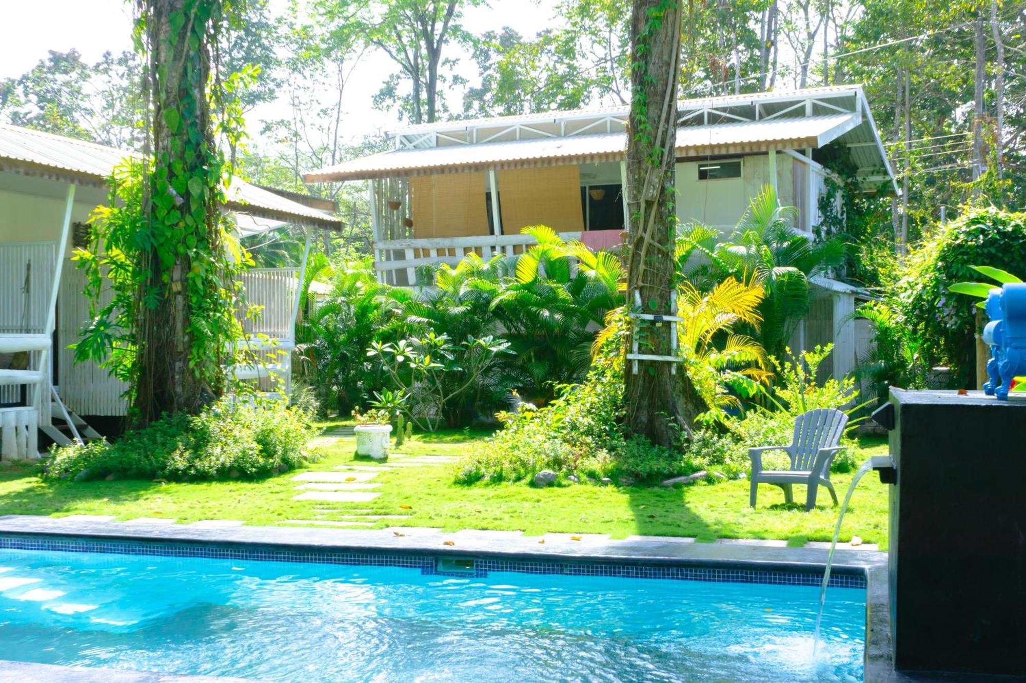 Olivia Del Caribe Suite Puerto Viejo de Talamanca Exteriör bild