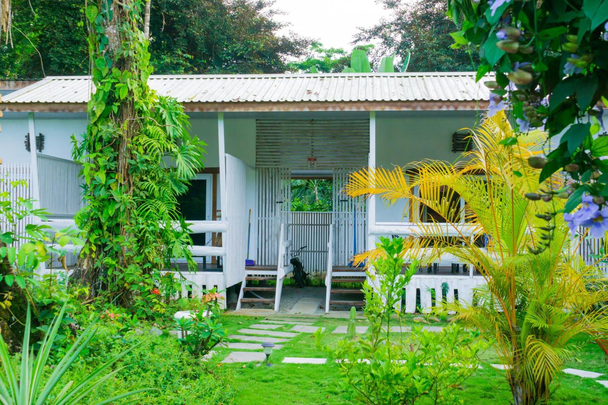 Olivia Del Caribe Suite Puerto Viejo de Talamanca Exteriör bild