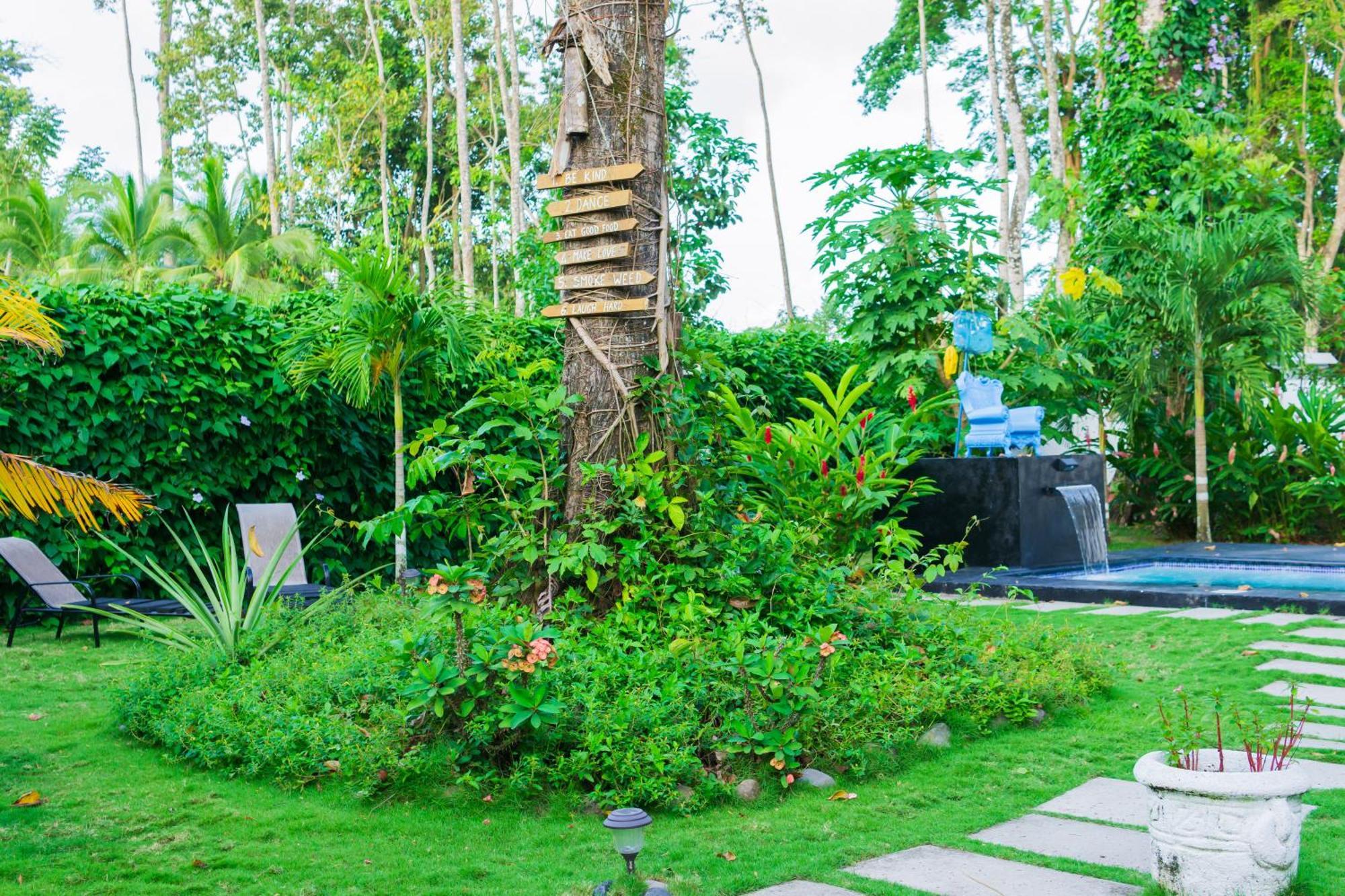 Olivia Del Caribe Suite Puerto Viejo de Talamanca Exteriör bild