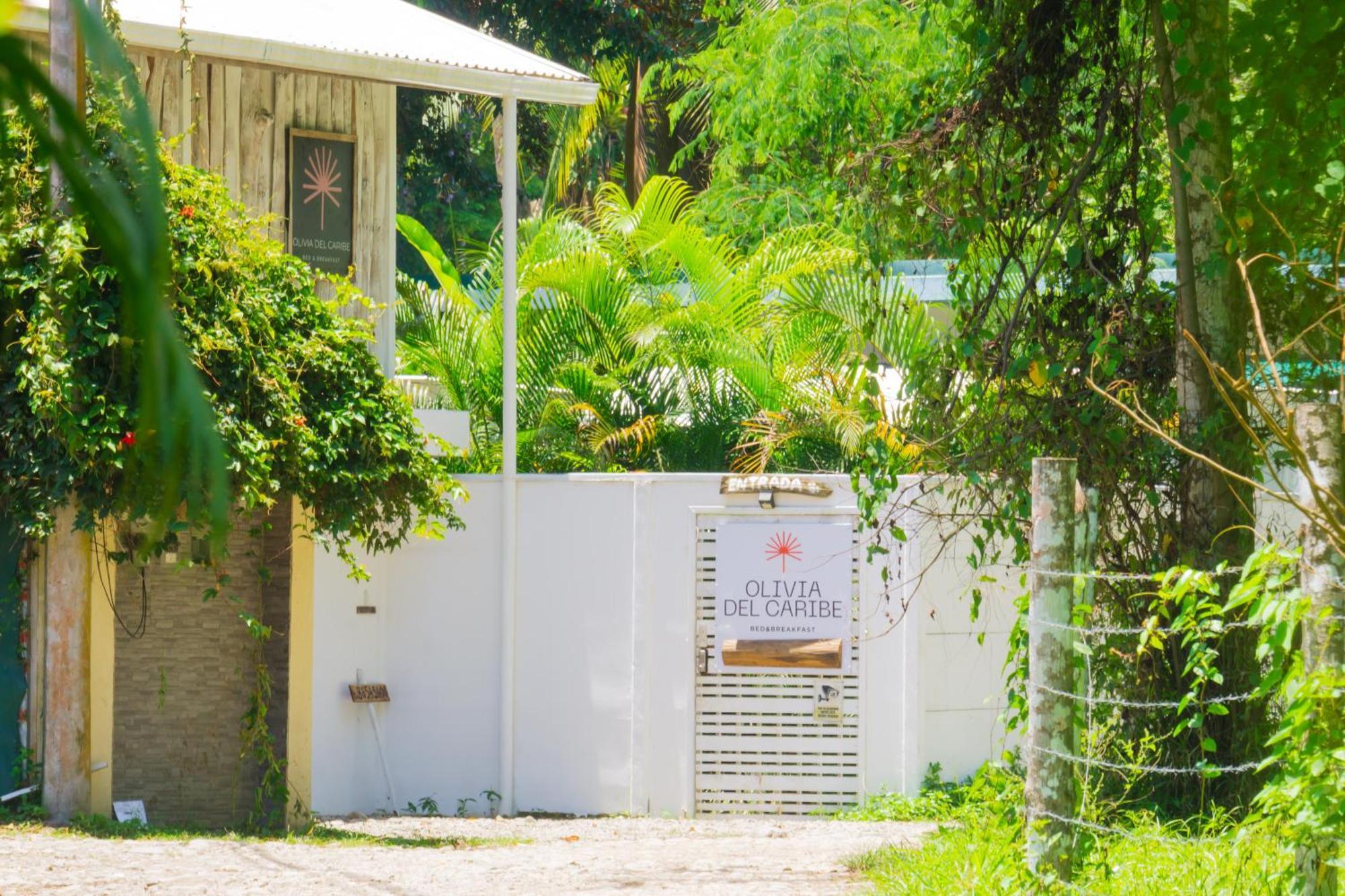 Olivia Del Caribe Suite Puerto Viejo de Talamanca Exteriör bild
